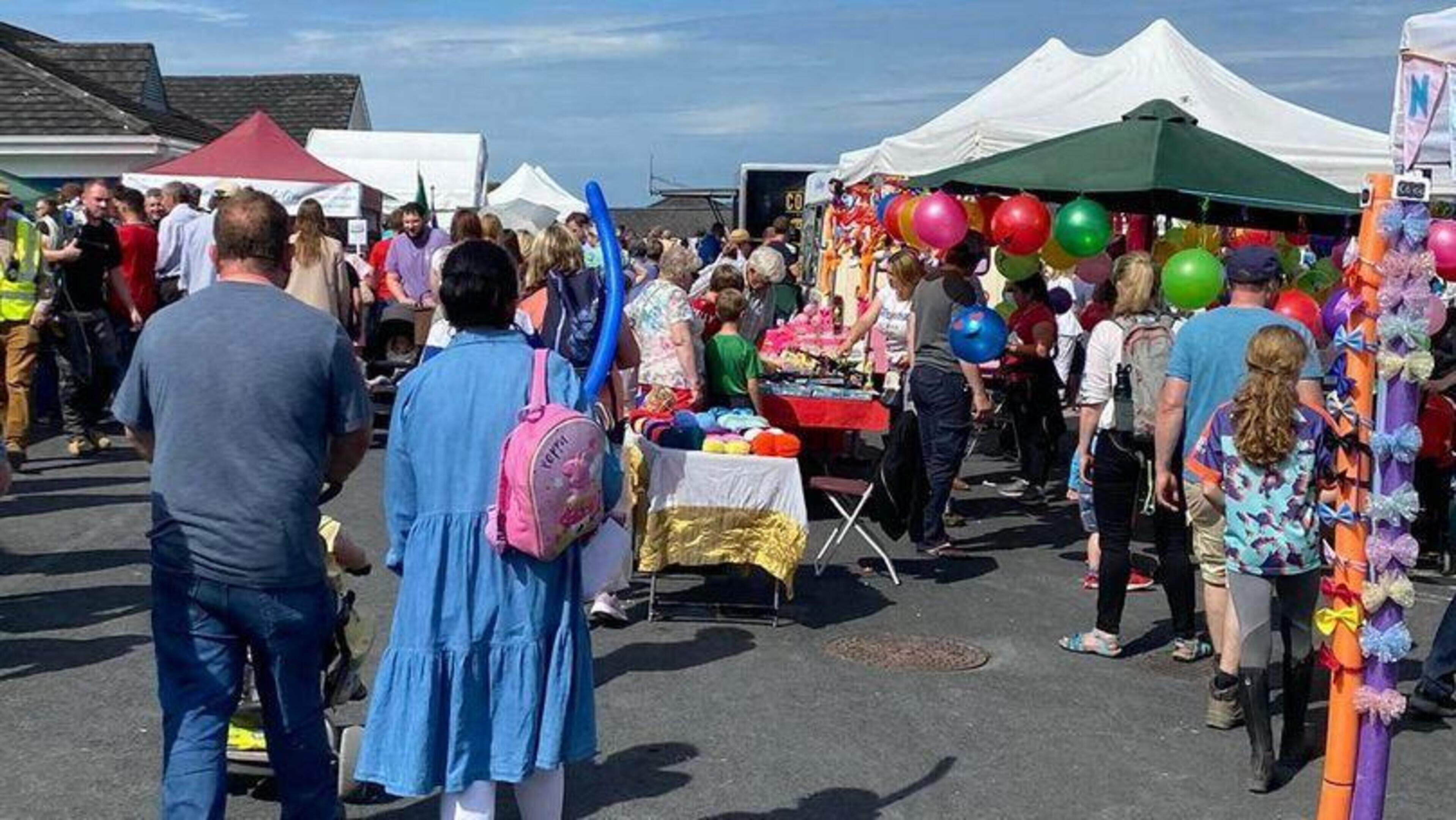 ‘Valuable’ sensory unit returns to Limerick Show with support from mayoral fund